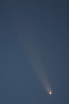 Astrofotografía de Cometa McNaught (C/2006 P1) en la categoría Cometa Mc Naught