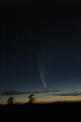 Astrofotografía de Cometa McNaught (C/2006 P1) en la categoría Cometa Mc Naught