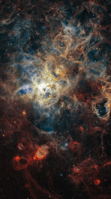 Astrofotografía de NGC2070 - Nebulosa Tarántula  en narrowband en la categoría NGC2070