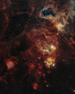Astrofotografía de NGC2070  - Vecinos de la Nebulosa Tarántula en narrowband en la categoría NGC2070